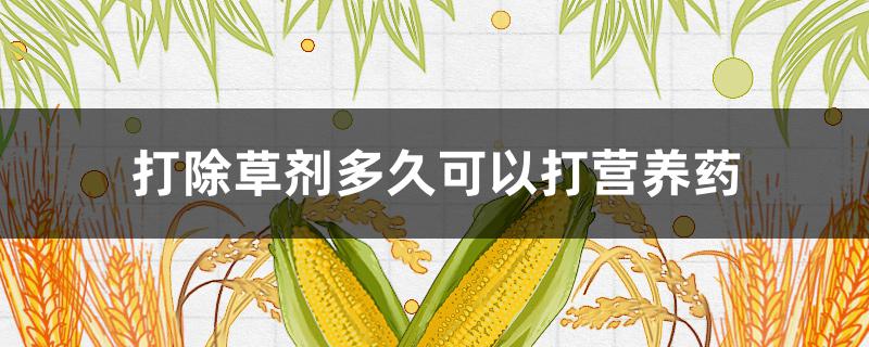 打除草剂多久可以打营养药 打完除草剂多久起作用