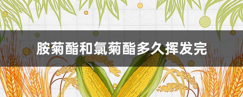 胺菊酯和氯菊酯多久挥发完（胺菊酯和氯菊酯多久失去毒性）