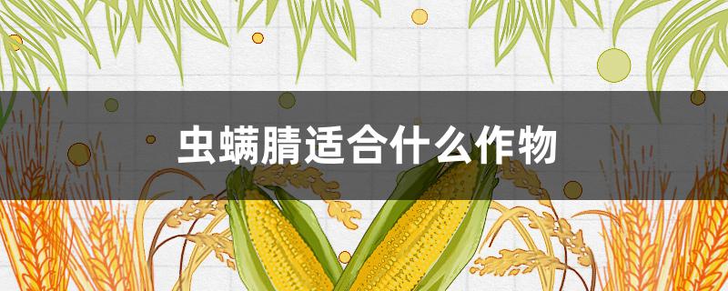 虫螨腈适合什么作物 虫螨腈禁忌使用农作物