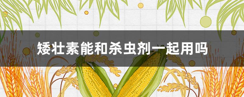 矮壮素能和杀虫剂一起用吗（矮壮素和灭草剂能够并用吗?）