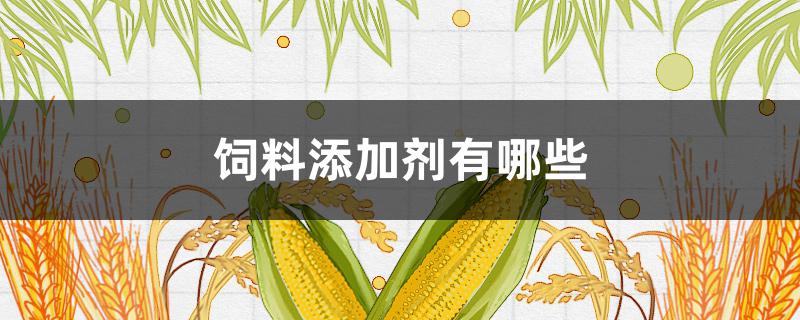 饲料添加剂有哪些(新型饲料添加剂有哪些)