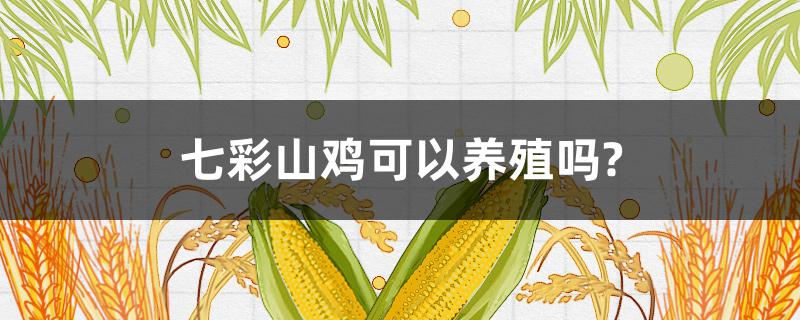 七彩山鸡可以养殖吗?（现在是不是不允许养七彩山鸡）