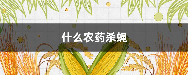 什么农药杀蝇（什么农药杀蝇蛆最有效）