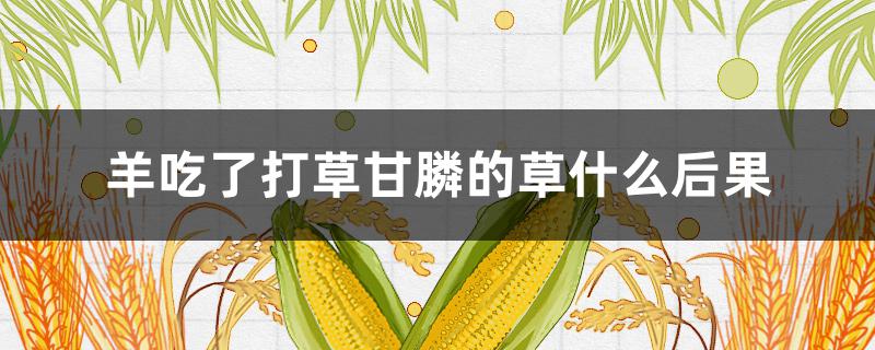 羊吃了打草甘膦的草什么后果 羊吃了草甘膦的草多久会出现症状