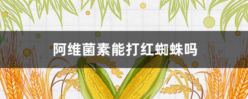 阿维菌素能打红蜘蛛吗 阿维菌素可以打红蜘蛛吗