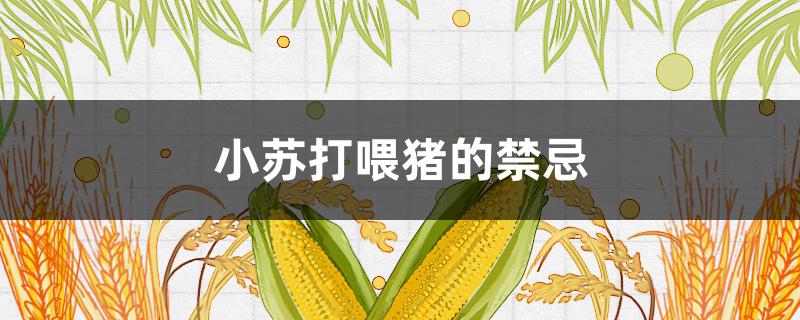 小苏打喂猪的禁忌 小苏打喂猪的禁忌和副作用