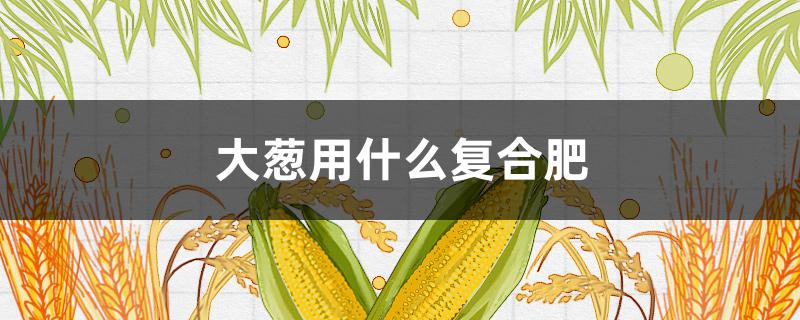 大葱用什么复合肥 大葱用什么复合肥好