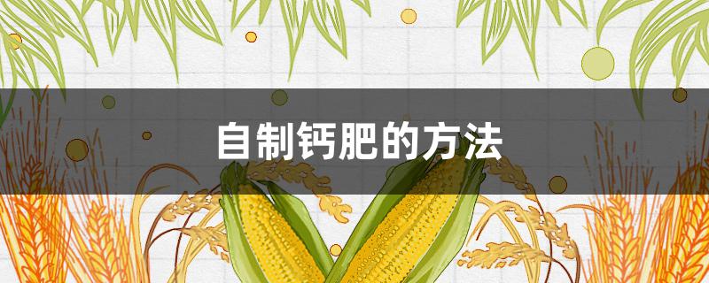 自制钙肥的方法 自制钙肥的方法和步骤