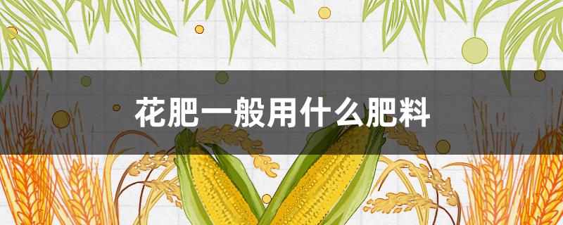 花肥一般用什么肥料（花肥一般用什么肥料兑水）