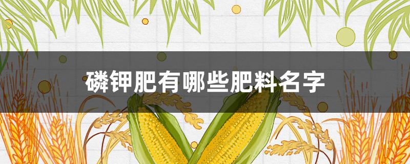 磷钾肥有哪些肥料名字 磷钾肥有哪些肥料名字图片