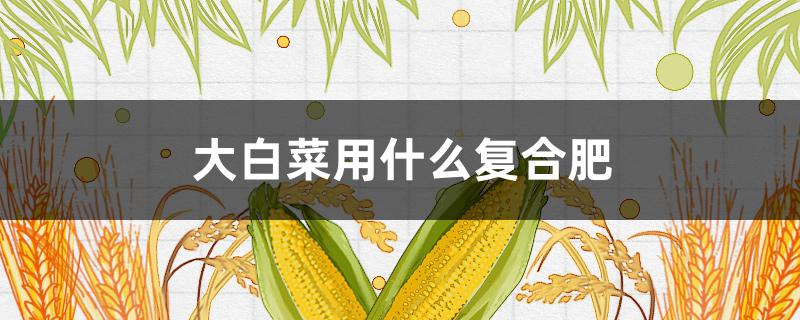 大白菜用什么复合肥 白菜用什么复合肥好