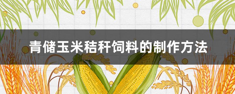 青储玉米秸秆饲料的制作方法（怎么做青储玉米秸秆）