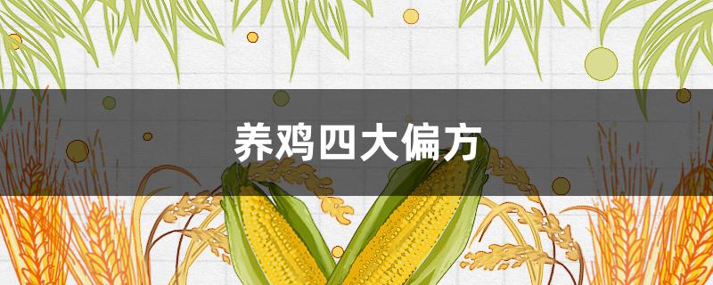 养鸡四大偏方 养鸡快大偏方