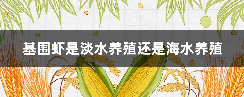基围虾是淡水养殖还是海水养殖 基围虾是不是海水养殖的