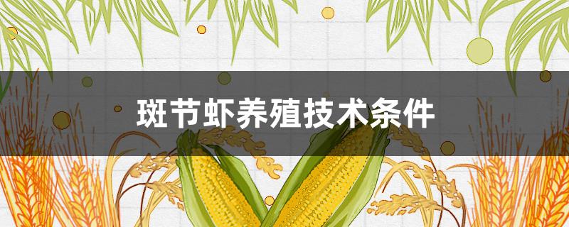 斑节虾养殖技术条件（斑节对虾养殖最新技术）