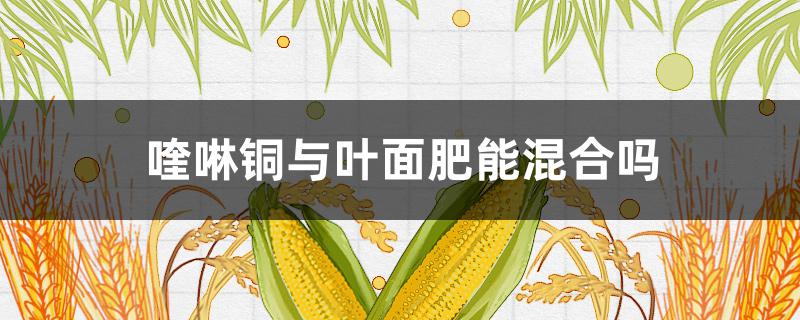 喹啉铜与叶面肥能混合吗 喹啉铜治什么病能和叶面肥混合使用