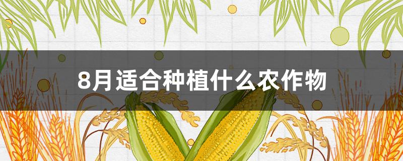 8月适合种植什么农作物（8月份适合种植什么农作物）