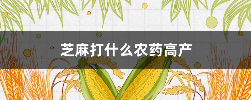 芝麻打什么农药高产（芝麻怕什么农药）