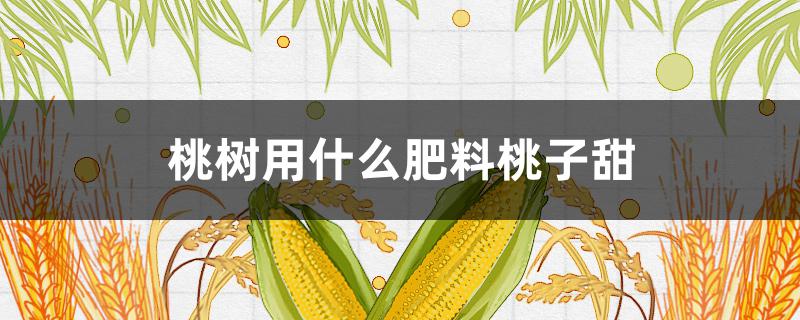 桃树用什么肥料桃子甜 桃树用什么叶面肥能增甜