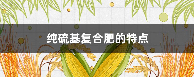 纯硫基复合肥的特点（纯硫基复合肥作用和特点）