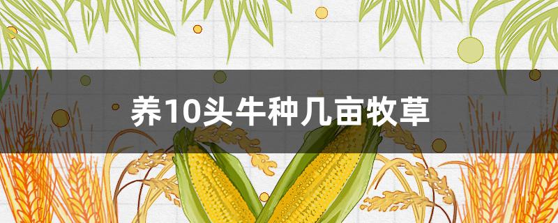养10头牛种几亩牧草 养10头牛种几亩牧草一头牛一年可以赚多少钱