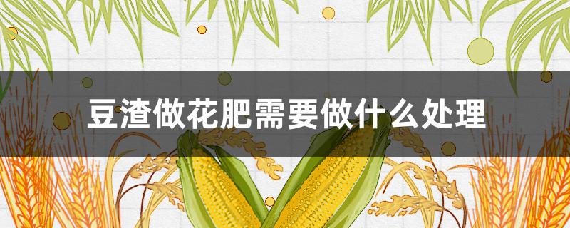 豆渣做花肥需要做什么处理 豆渣怎样做成花肥