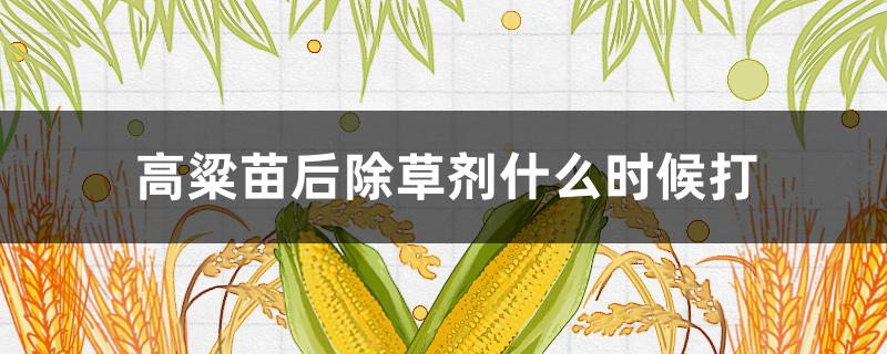 高粱苗后除草剂什么时候打 高粱田苗后除草剂