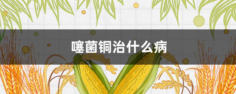 噻菌铜治什么病（噻菌铜治什么病可以治红薯吗?）