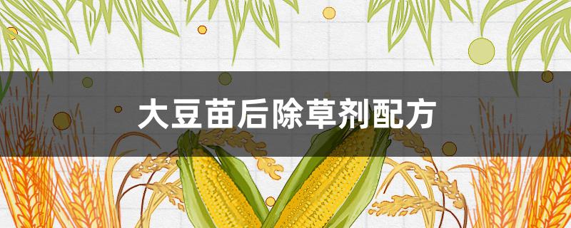 大豆苗后除草剂配方 大豆苗后除草剂有哪些品种