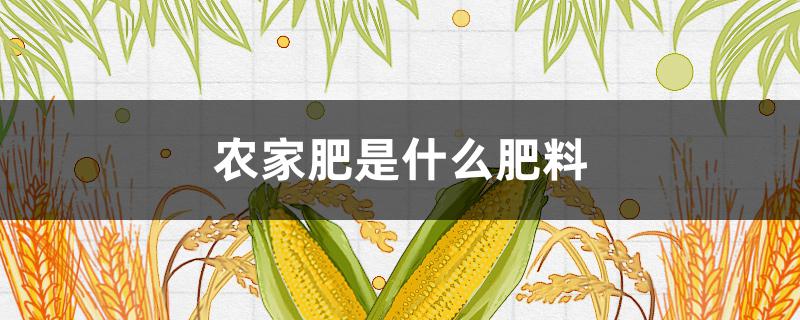 农家肥是什么肥料（农家肥属于什么肥）