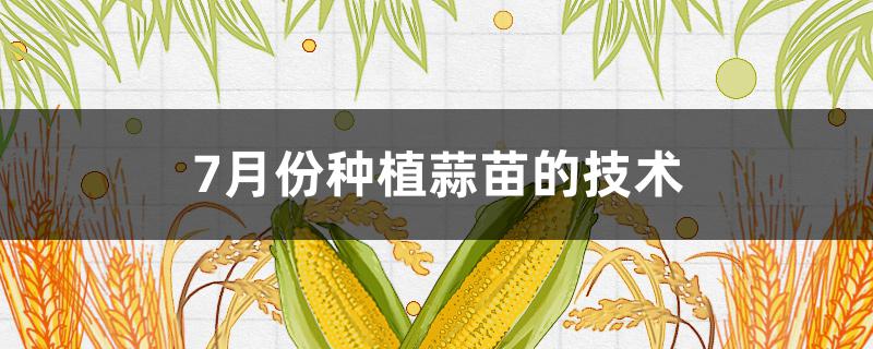 7月份种植蒜苗的技术 7月份种植蒜苗的技术?