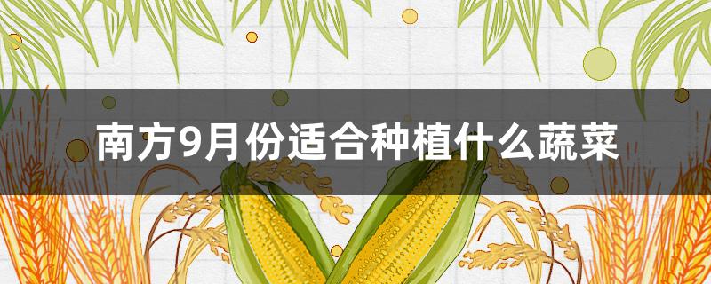 南方9月份适合种植什么蔬菜（南方9月份适合种植什么蔬菜旦不用浇很多水的）