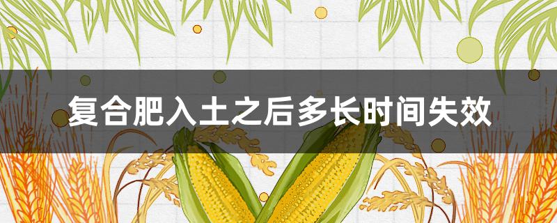 复合肥入土之后多长时间失效 复合肥放土里多久失效