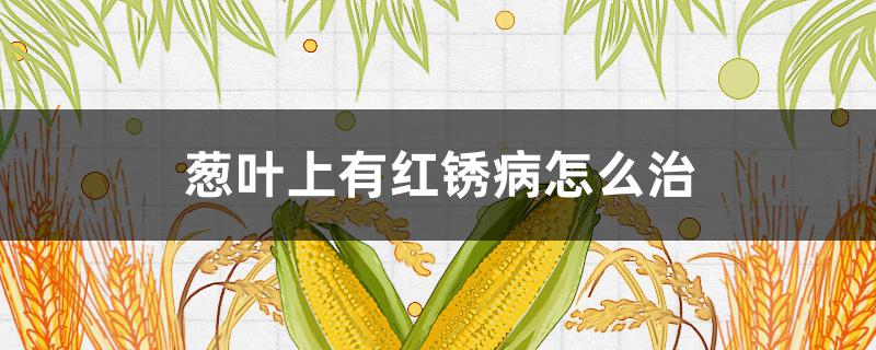 葱叶上有红锈病怎么治 葱叶子红锈病怎么治