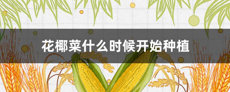 花椰菜什么时候开始种植 花椰菜几月种植