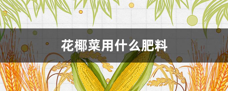 花椰菜用什么肥料 花椰菜用什么肥料种植