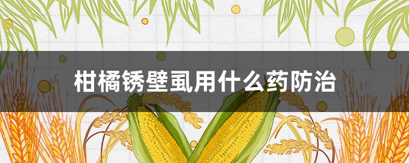 柑橘锈壁虱用什么药防治 锈壁虱危害柑橘果实症状