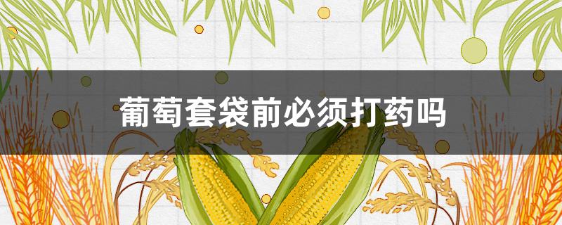 葡萄套袋前必须打药吗 葡萄套袋前必须打药吗?打什么药?