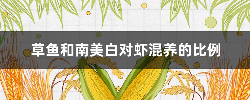 草鱼和南美白对虾混养的比例（南美白对虾饲料比例）