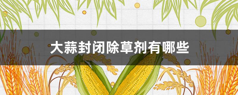大蒜封闭除草剂有哪些 大蒜田封闭除草剂