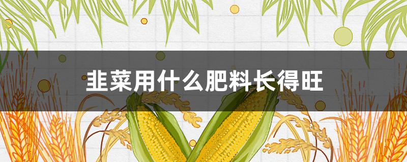 韭菜用什么肥料长得旺 韭菜用什么肥料长得旺盛