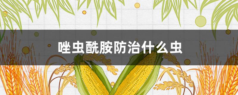 唑虫酰胺防治什么虫(唑虫酰胺用来防治什么)