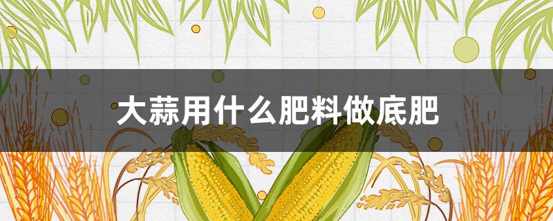 大蒜用什么肥料做底肥 大蒜用什么肥料做底肥呢