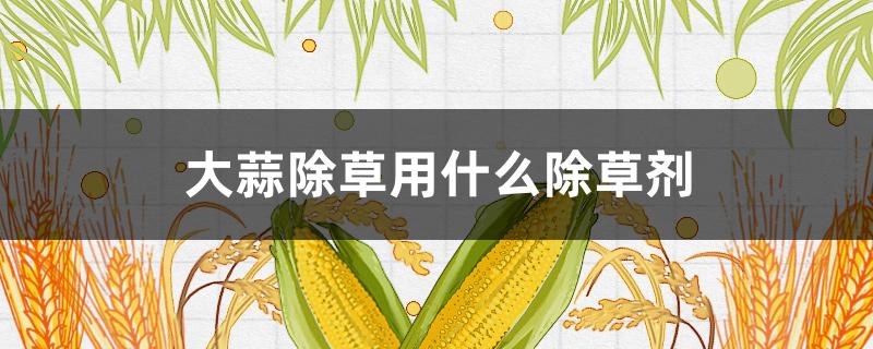 大蒜除草用什么除草剂 大蒜阔叶草除草用什么除草剂