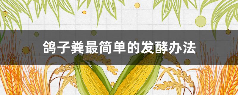 鸽子粪最简单的发酵办法 鸽子粪便发酵方法