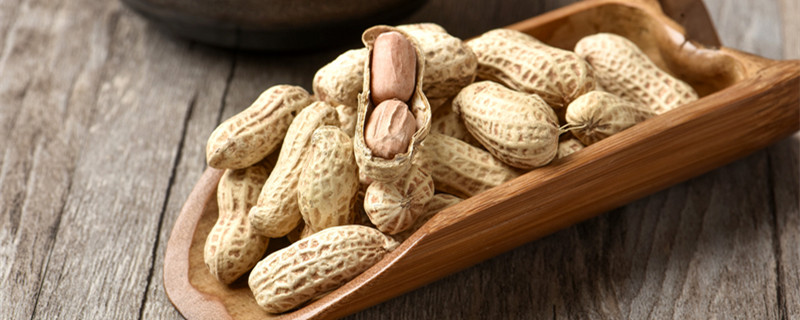 花生长太高了怎么办 花生长高有什么办法不长