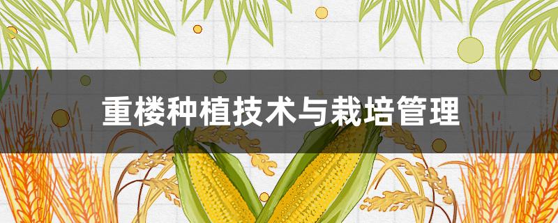 重楼种植技术与栽培管理 重楼种植技术与栽培管理毕业论文