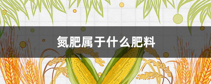 氮肥属于什么肥料（氮肥属于什么肥料类型）