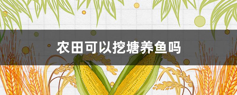 农田可以挖塘养鱼吗 非基本农田可以挖塘养鱼吗