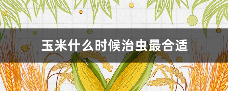 玉米什么时候治虫最合适 玉米治虫时间是上午还是下午